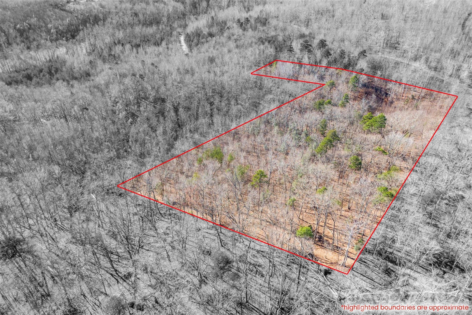 0 Ashe Drive #27A - Photo 5