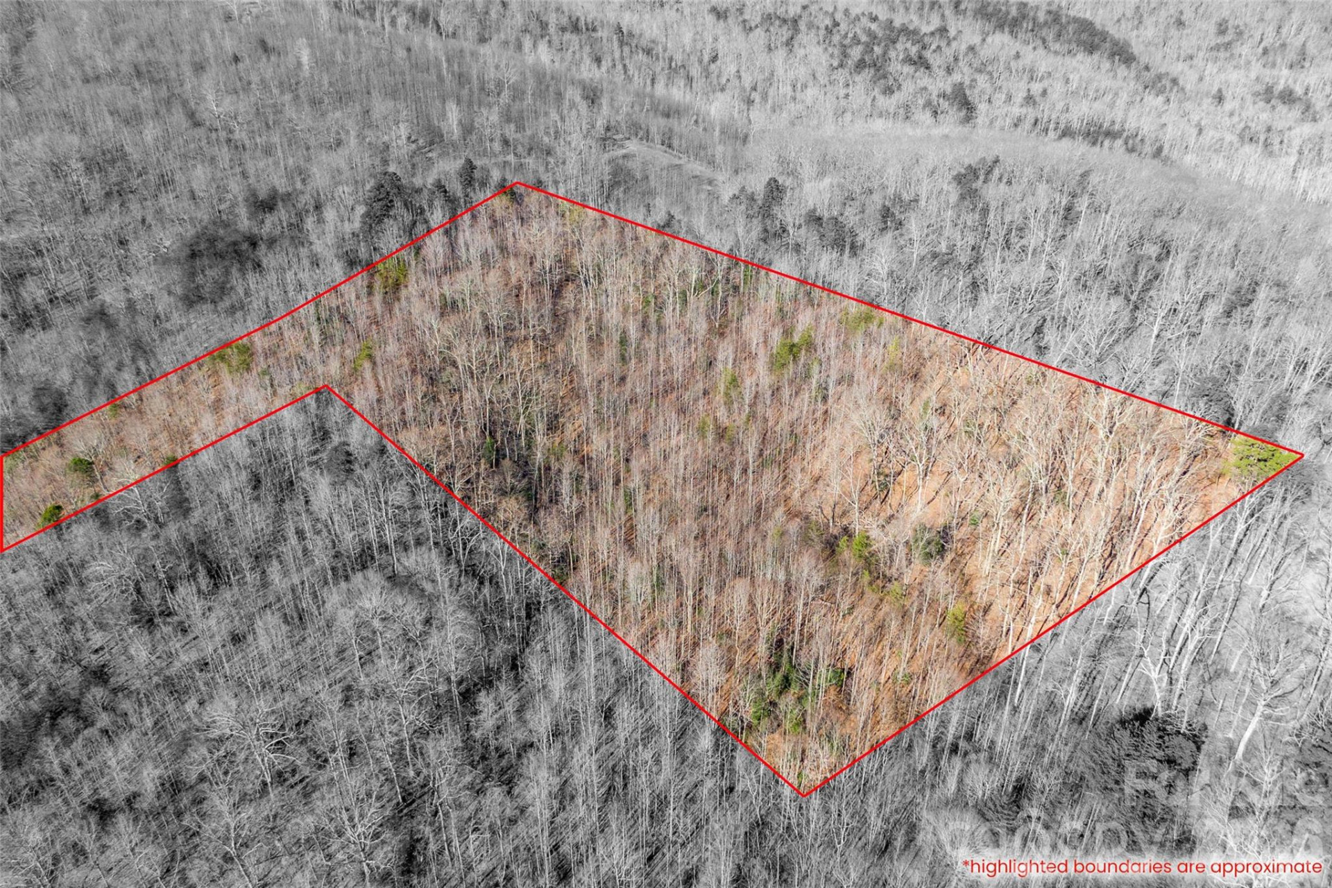 0 Ashe Drive #27A - Photo 6