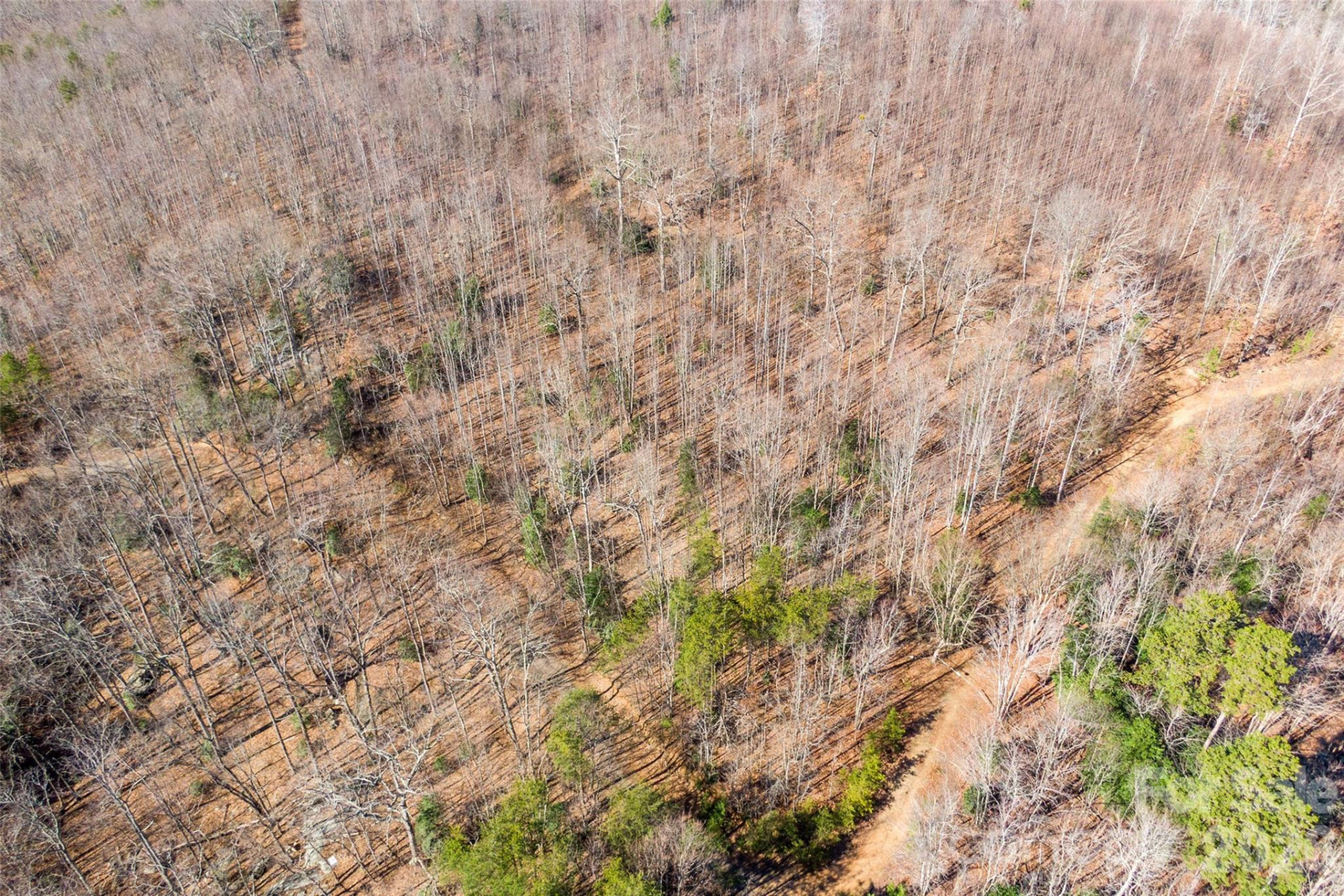 0 Ashe Drive #28A - Photo 3