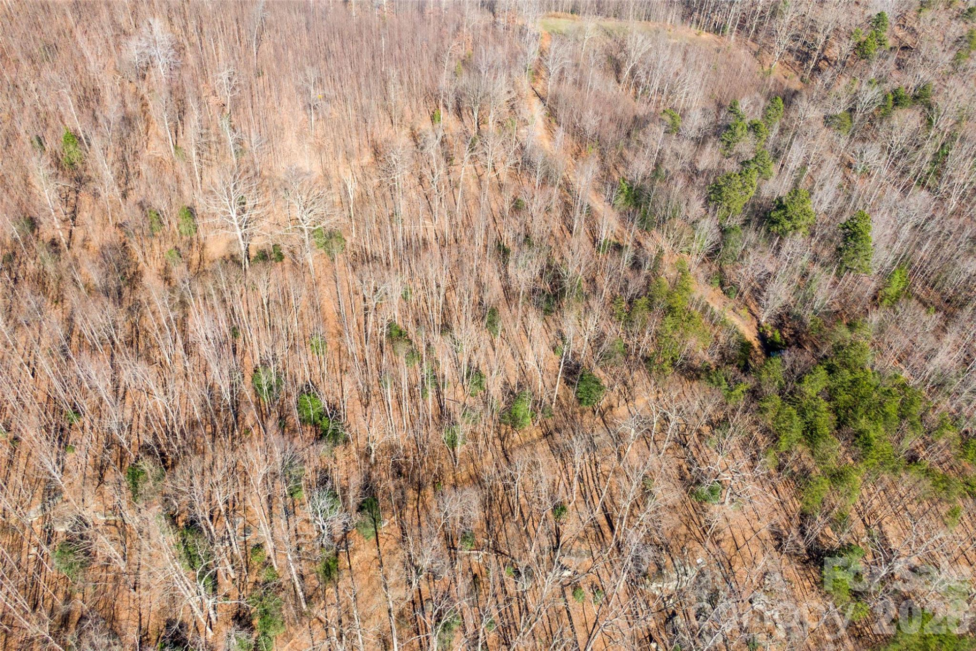 0 Ashe Drive #28A - Photo 5