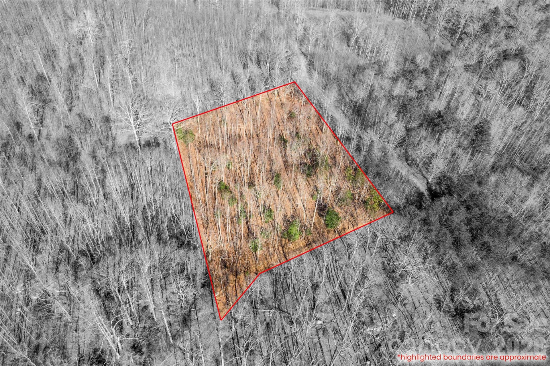 0 Ashe Drive #28A - Photo 6