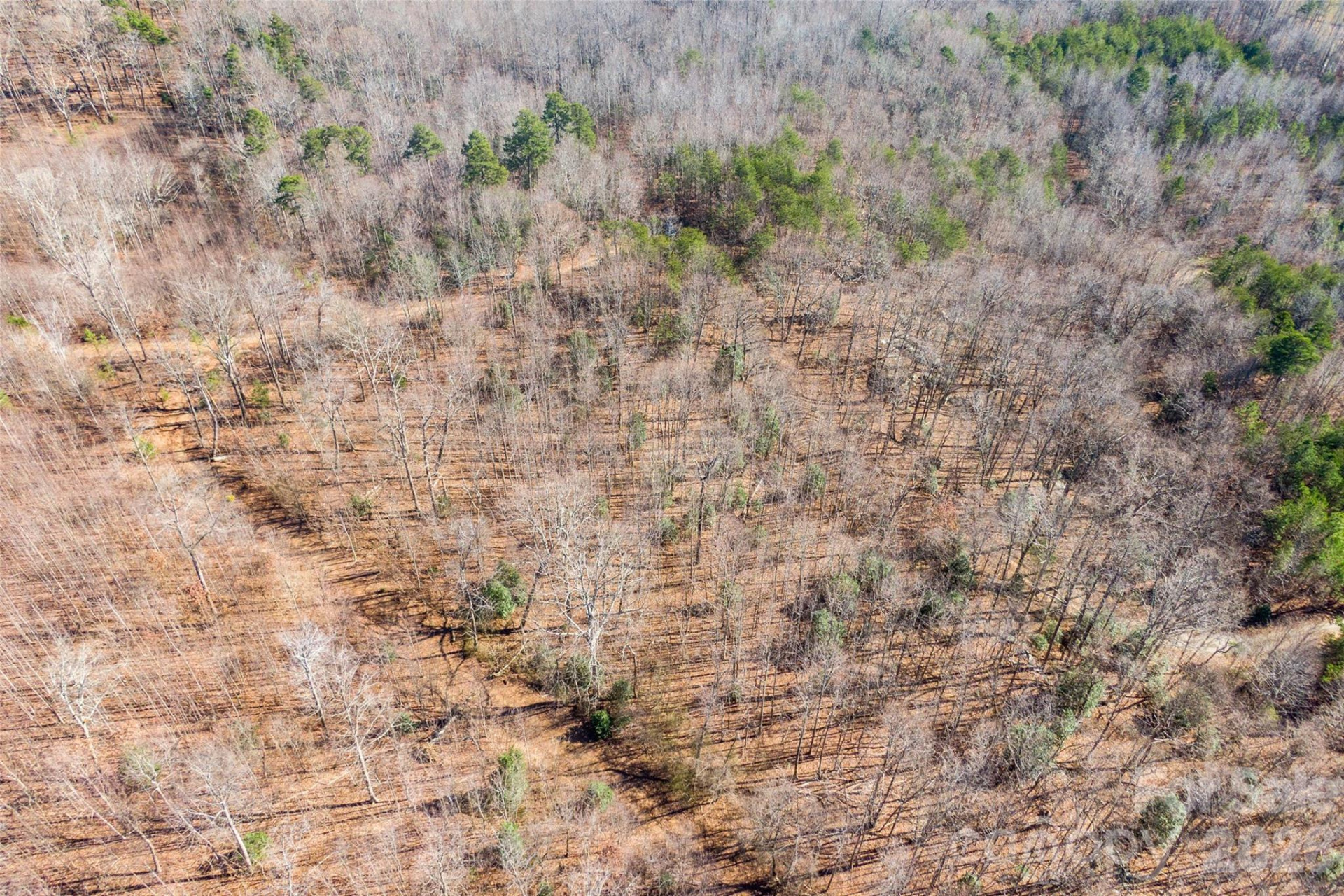 0 Ashe Drive #28A - Photo 7