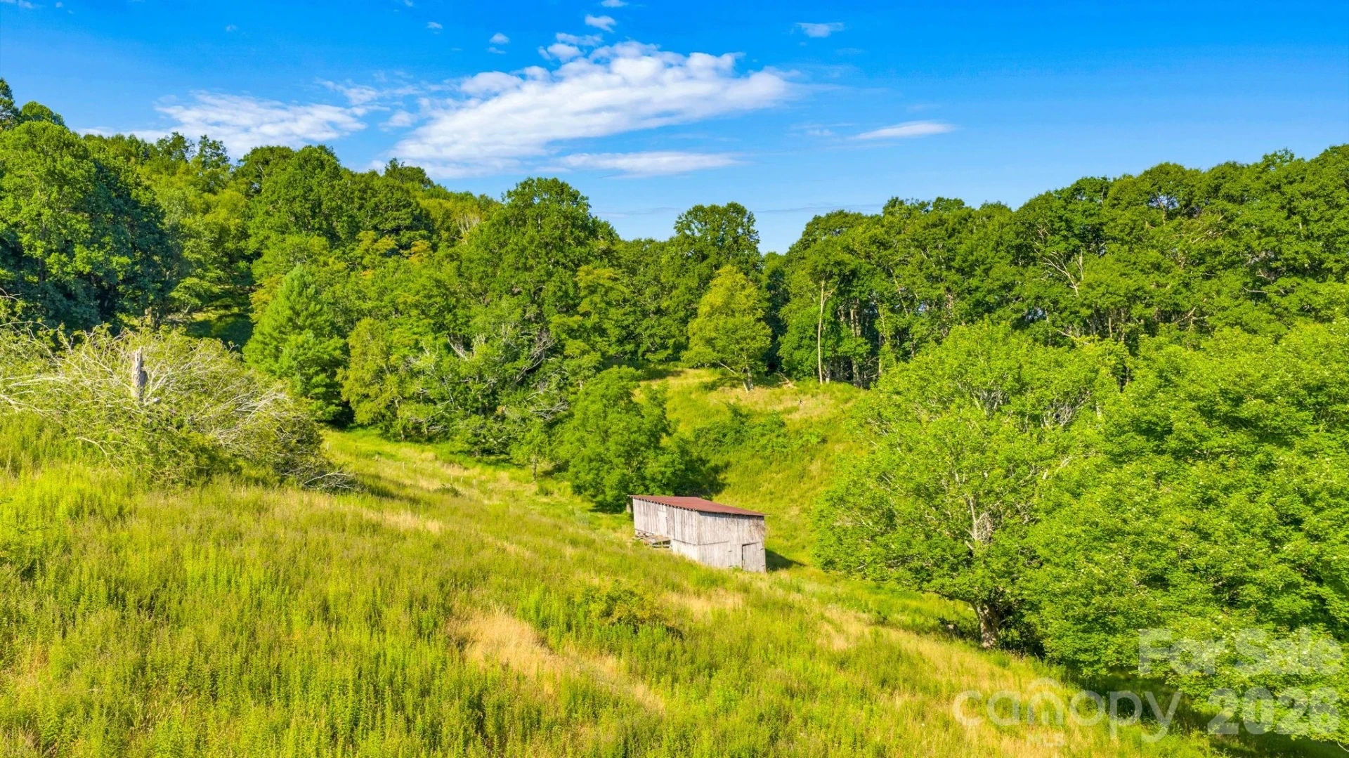 922 Prathers Creek Church Road - Photo 4