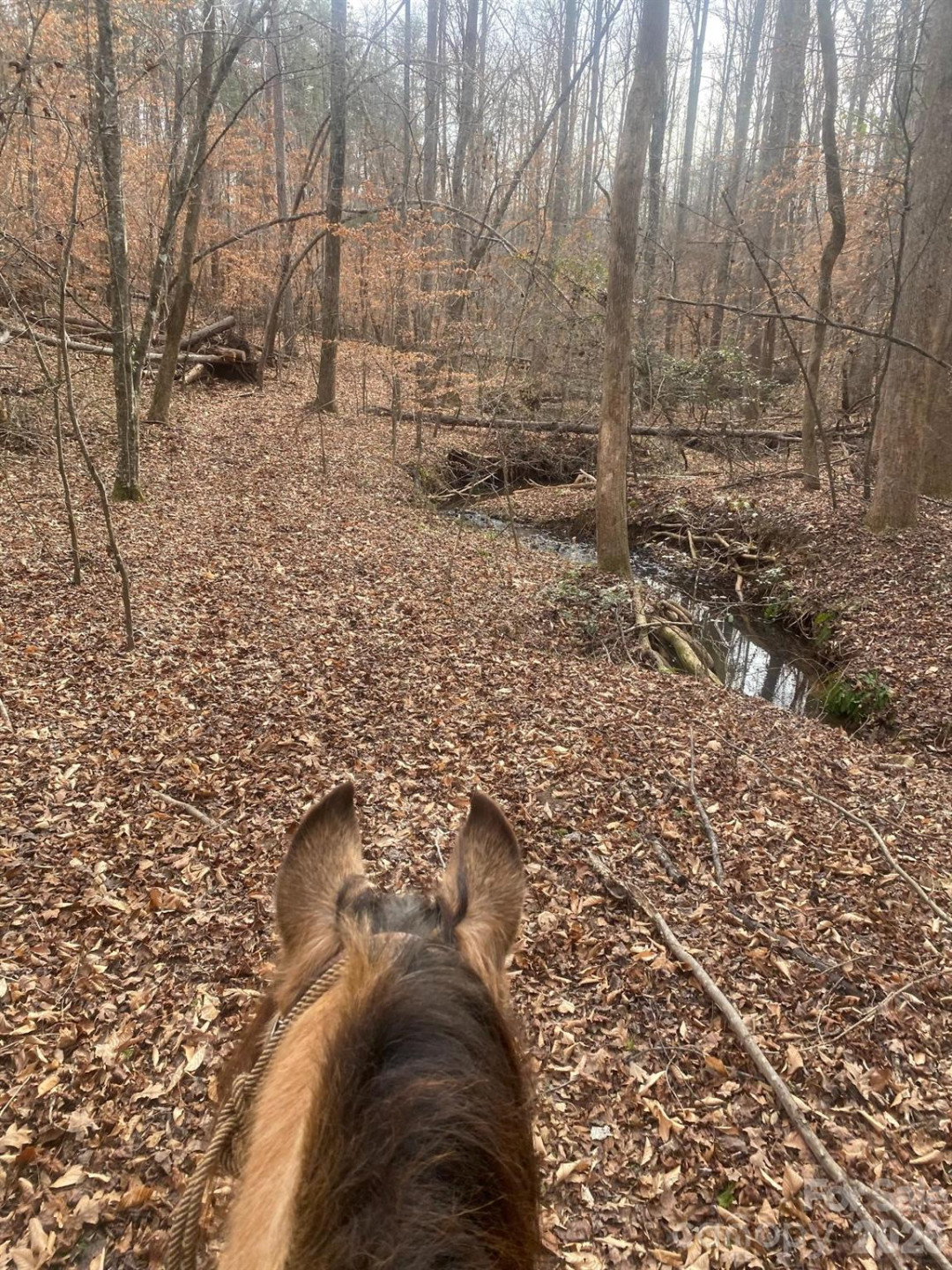 3205 Collinsville Road - Photo 4