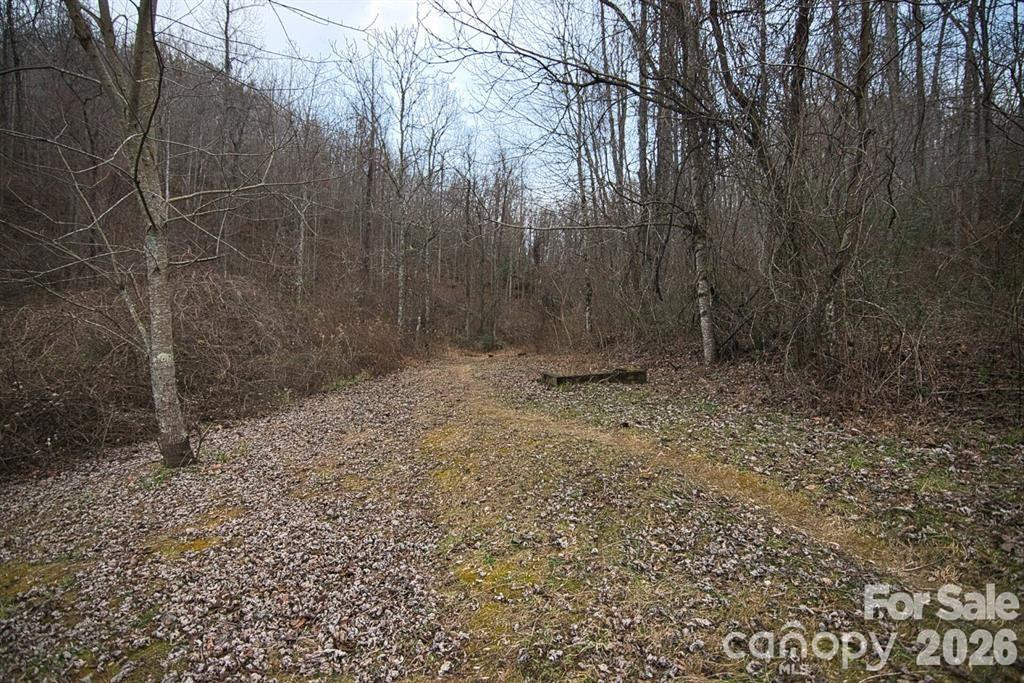 5712 Holbert Cove Road - Photo 7