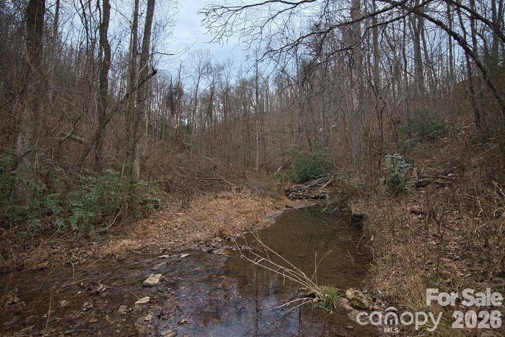 5712 Holbert Cove Road - Photo 8