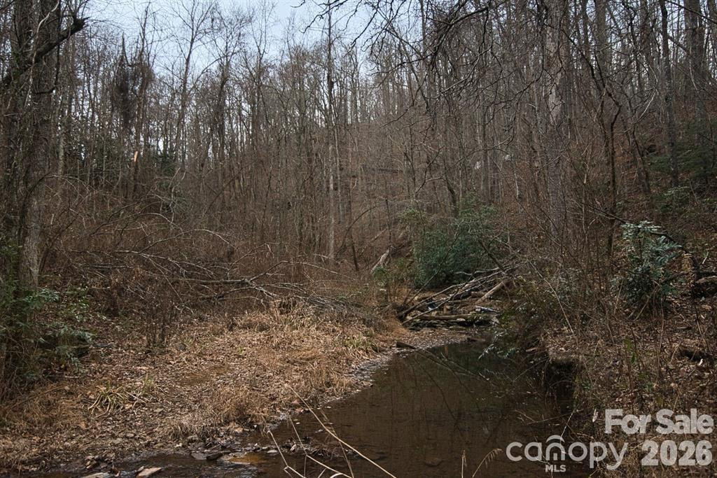 5712 Holbert Cove Road - Photo 9