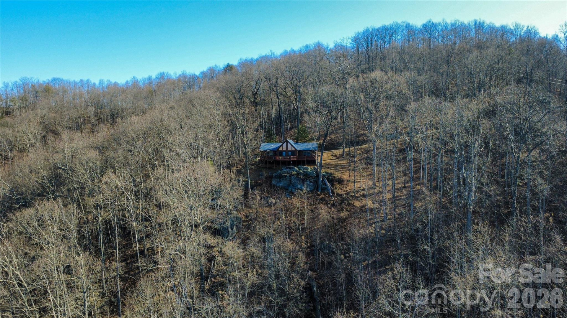 206 Amelia Lane - Photo 11