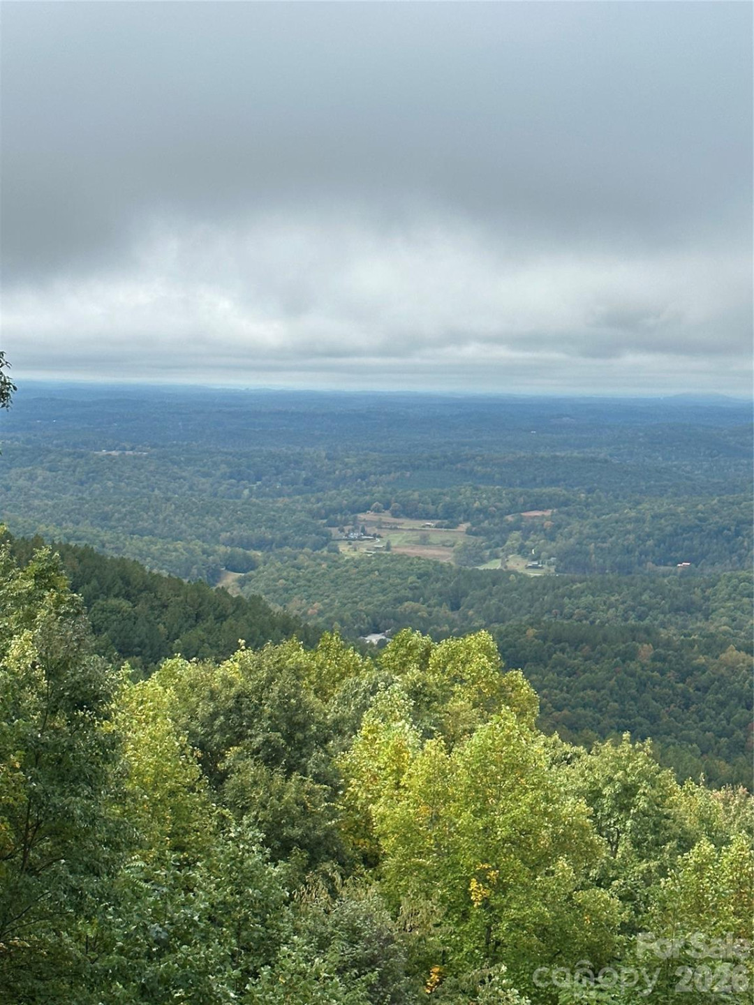 206 Amelia Lane - Photo 12