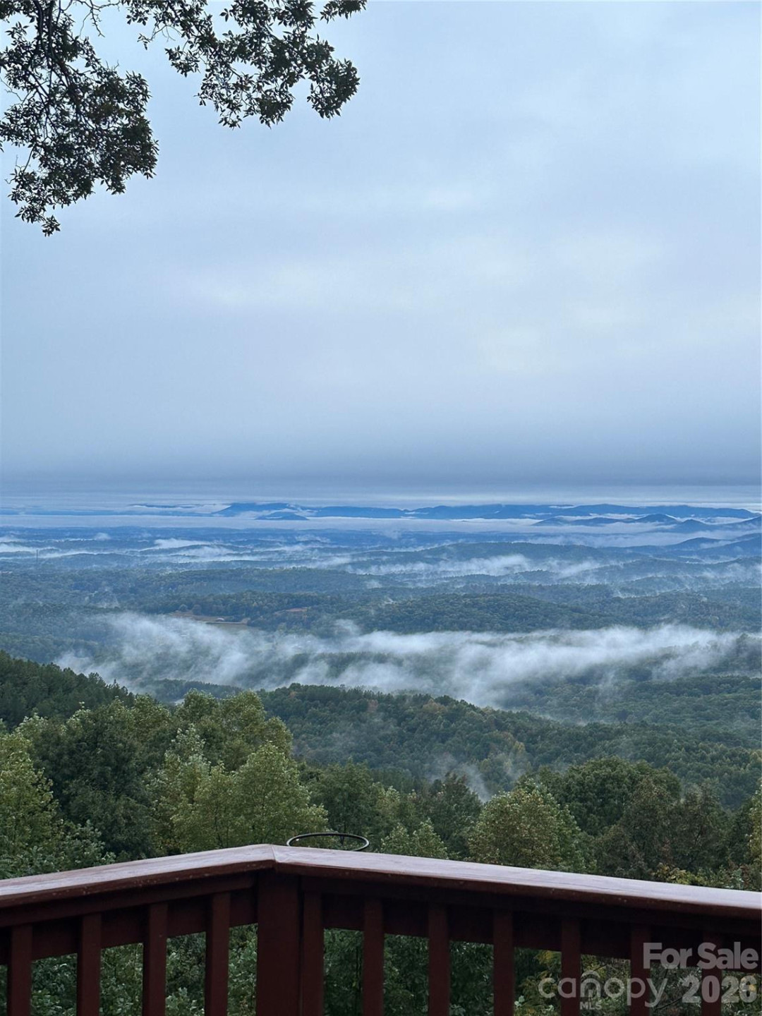 206 Amelia Lane - Photo 13