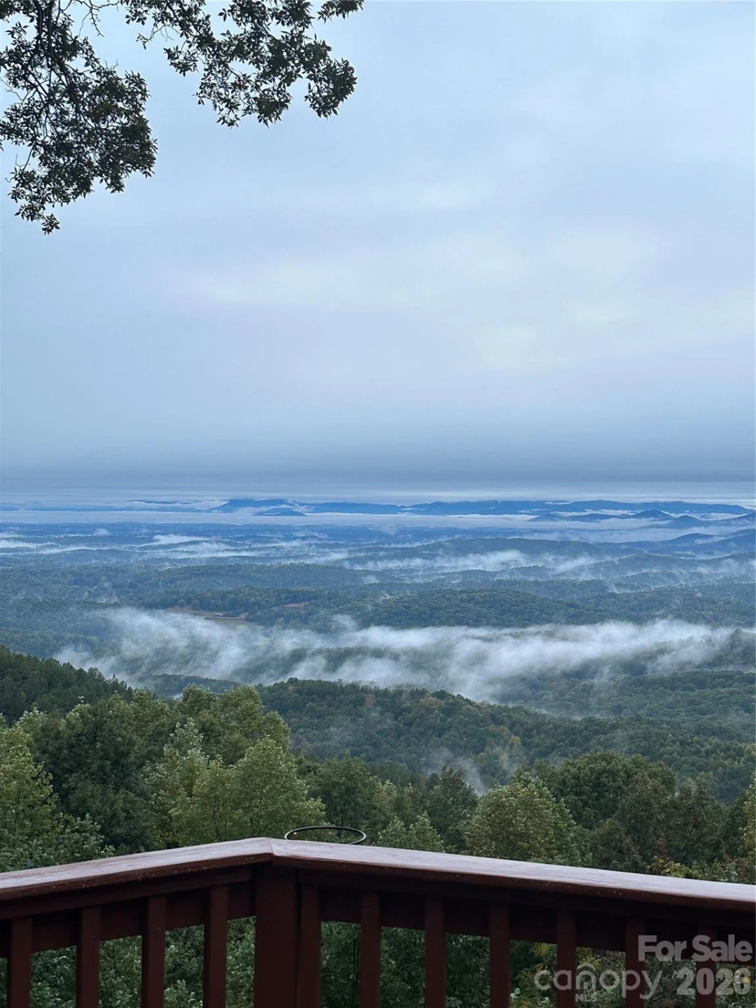 206 Amelia Lane - Photo 13