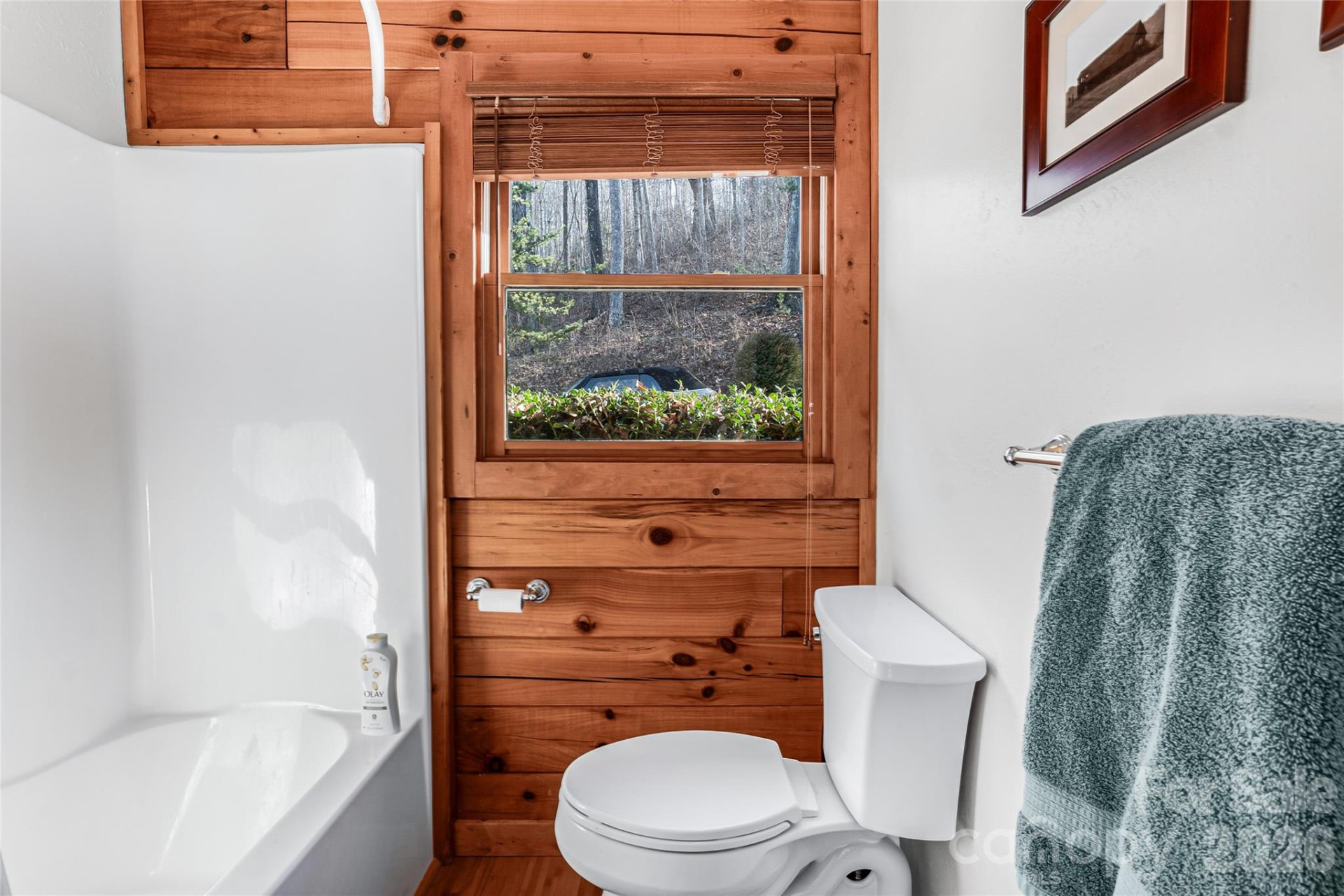 206 Amelia Lane - Photo 36