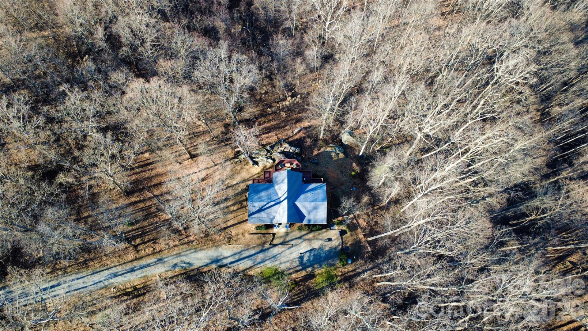 206 Amelia Lane - Photo 5