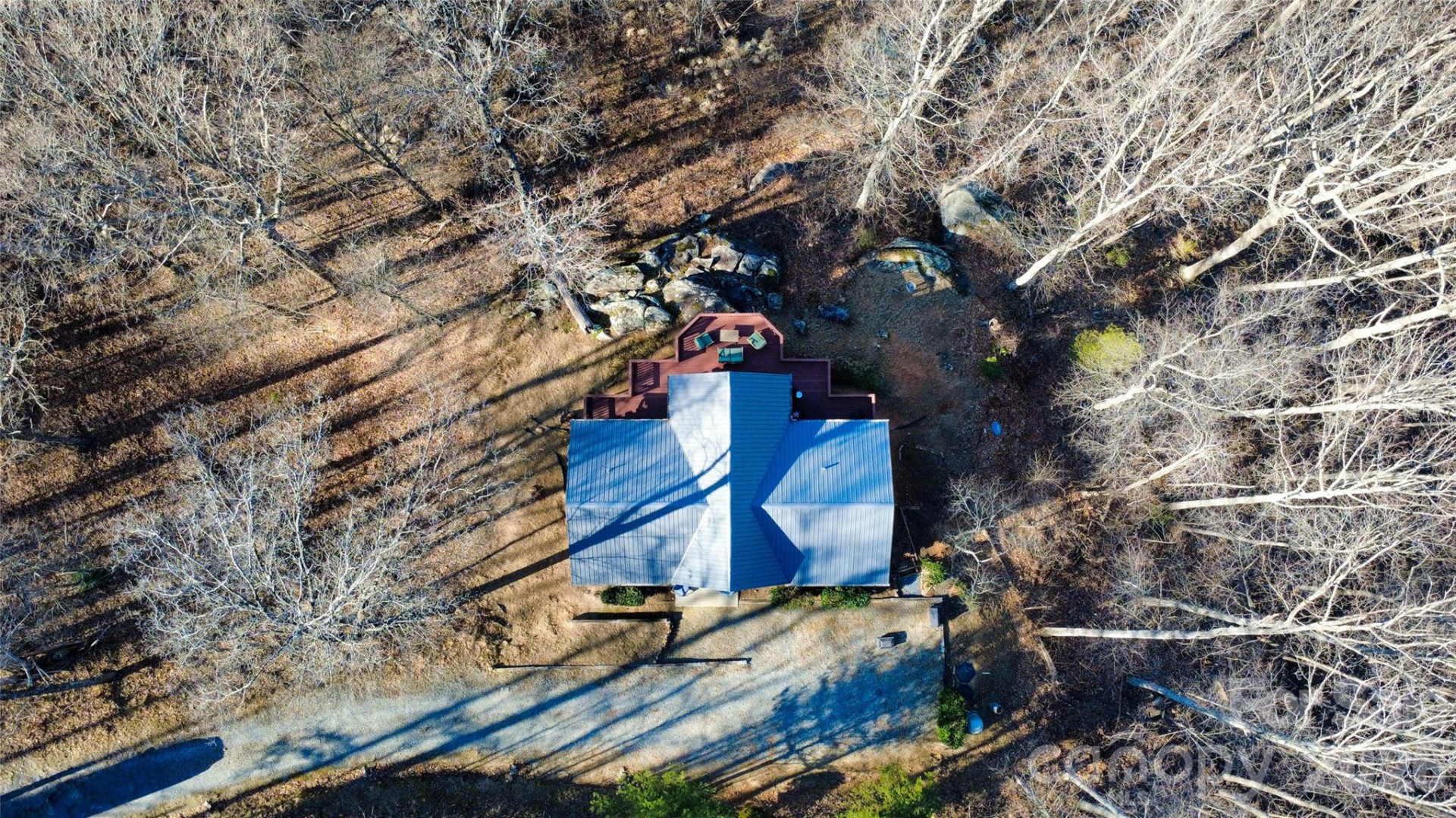 206 Amelia Lane - Photo 6