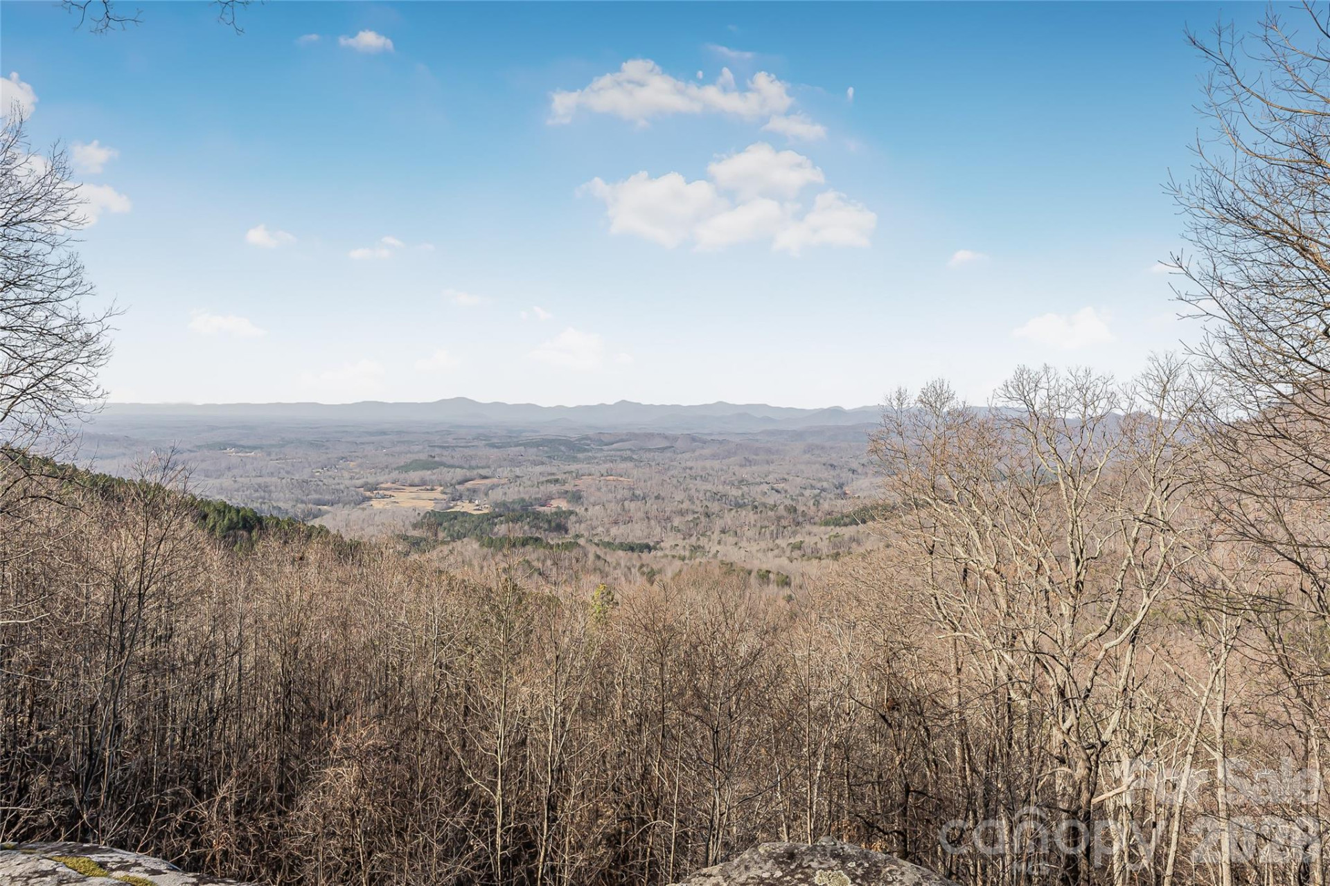 206 Amelia Lane - Photo 8