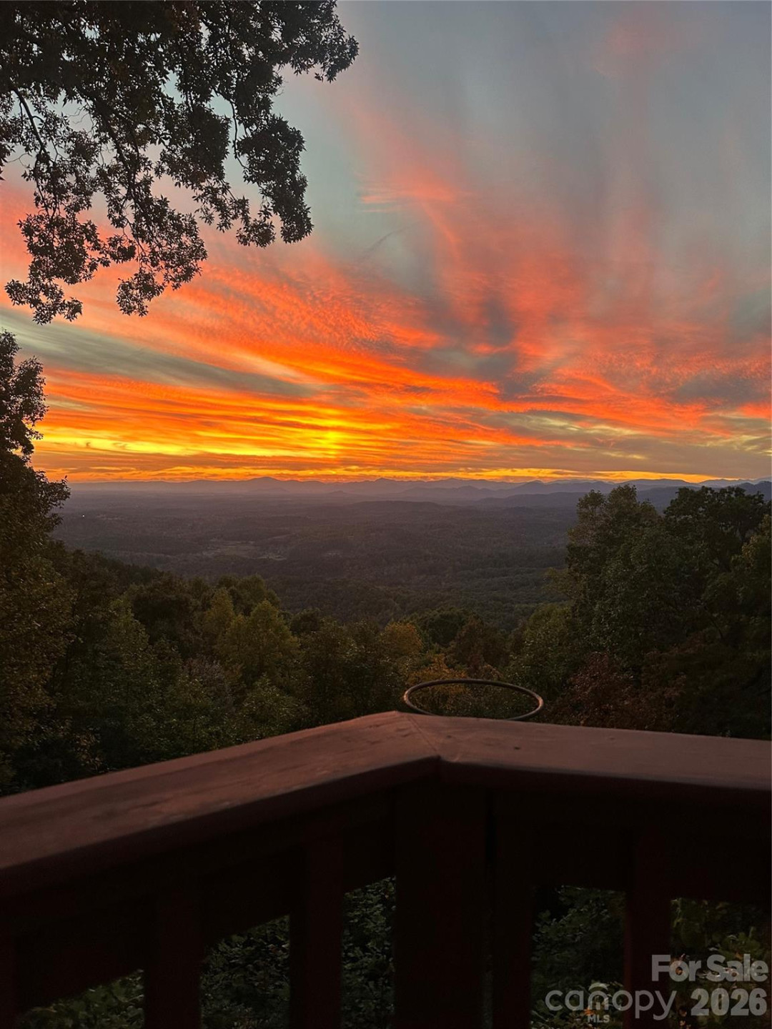 206 Amelia Lane - Photo 9