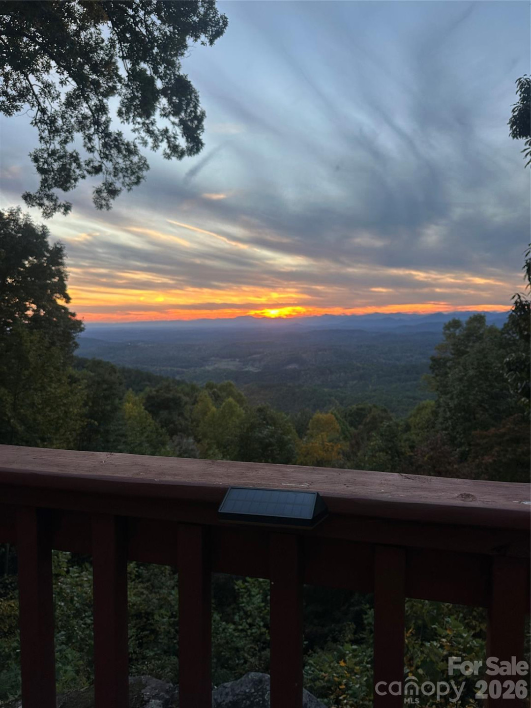 206 Amelia Lane - Photo 10