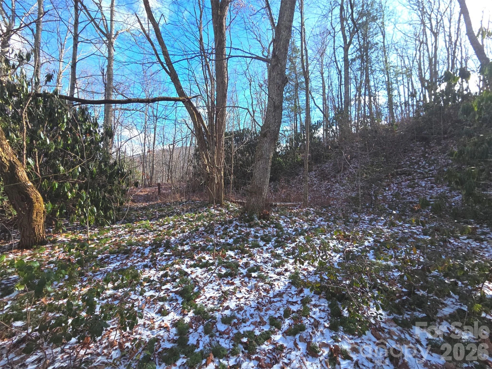 10 Tall Oaks Drive #58A & 58B - Photo 2
