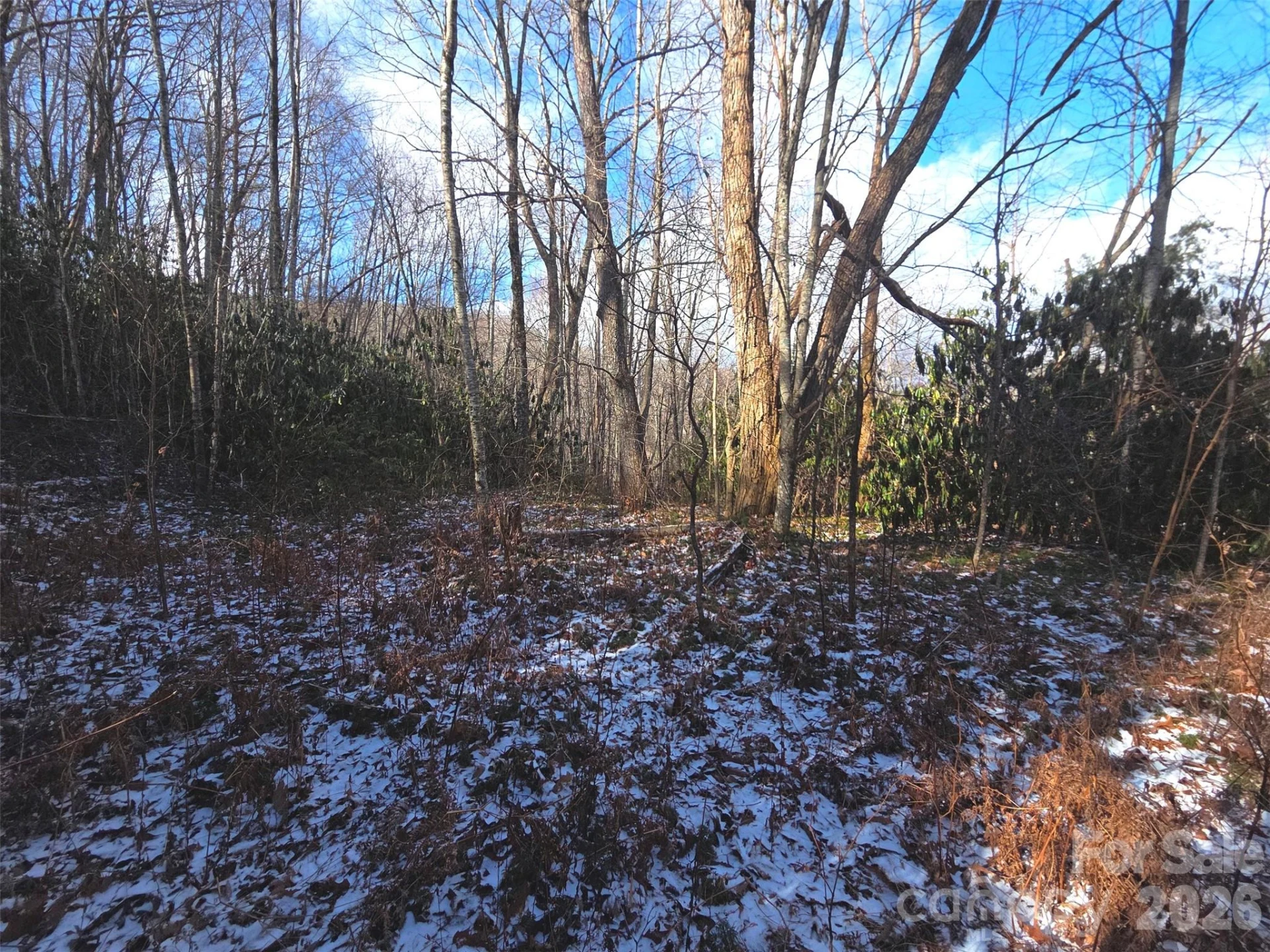 10 Tall Oaks Drive #58A & 58B - Photo 14