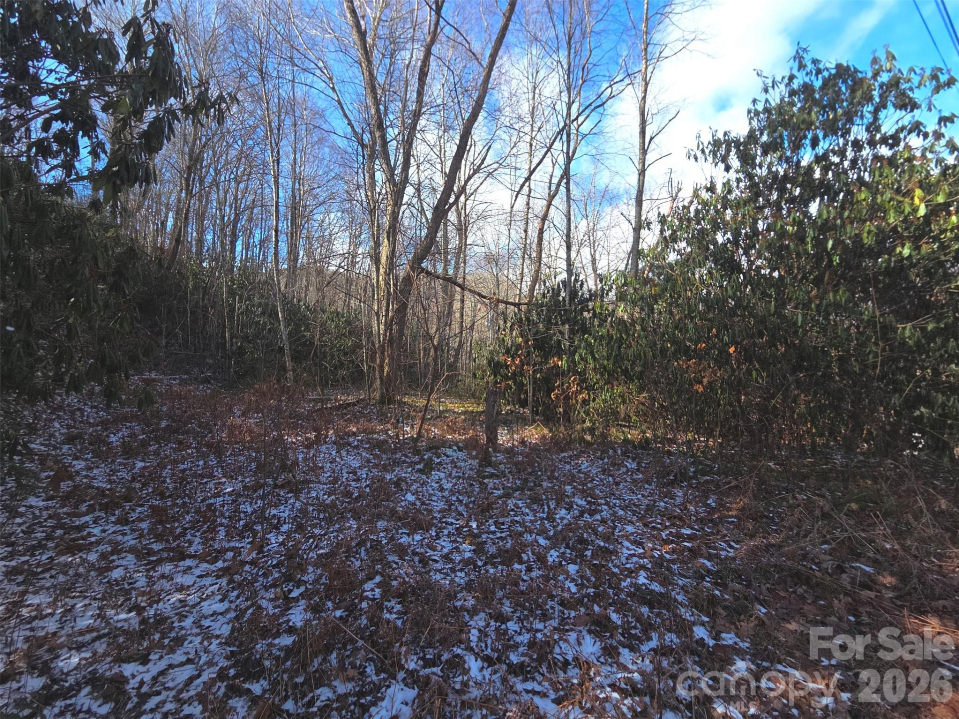 10 Tall Oaks Drive #58A & 58B - Photo 19