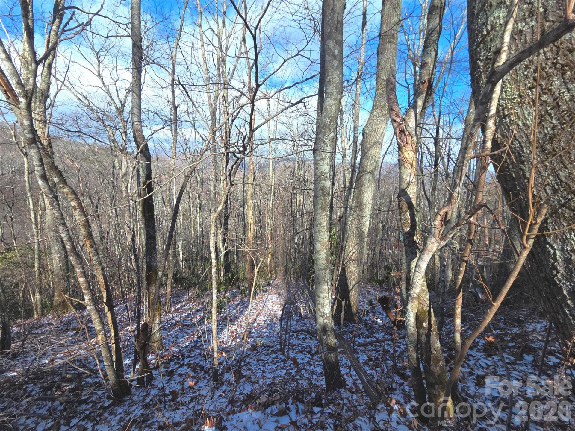 10 Tall Oaks Drive #58A & 58B - Photo 22