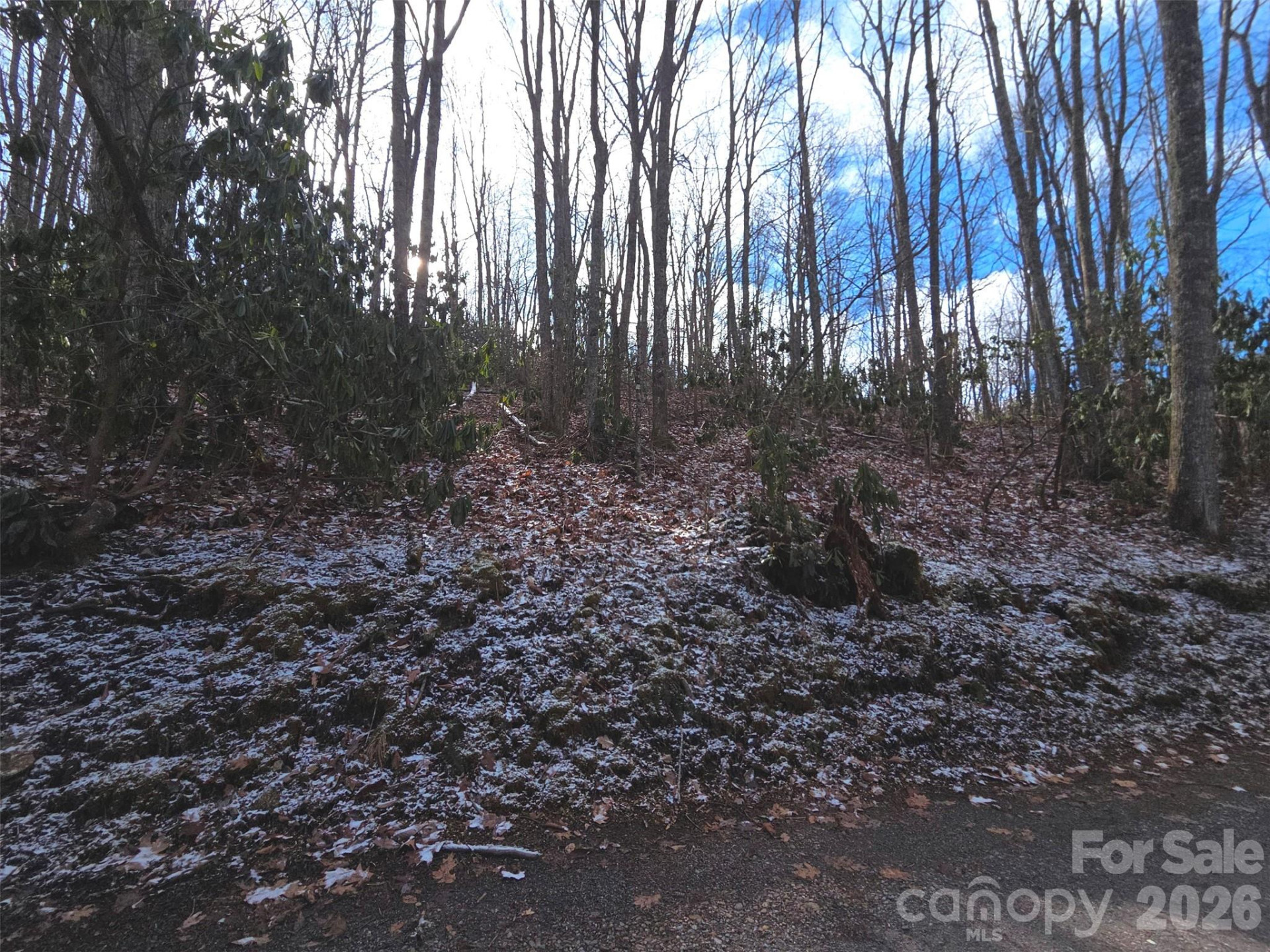 10 Tall Oaks Drive #58A & 58B - Photo 24