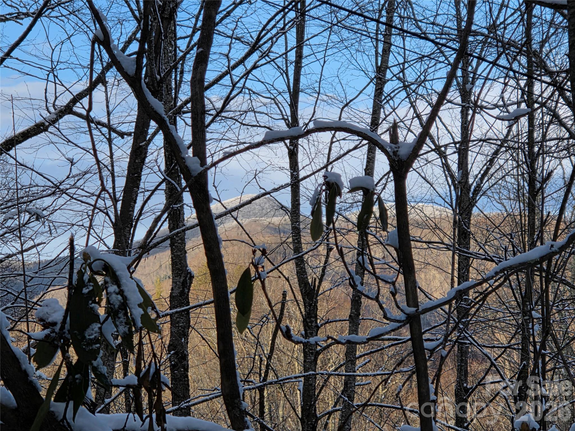 10 Tall Oaks Drive #58A & 58B - Photo 27