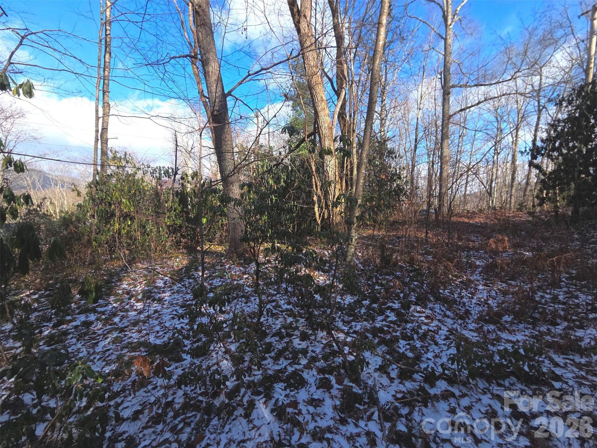 10 Tall Oaks Drive #58A & 58B - Photo 5