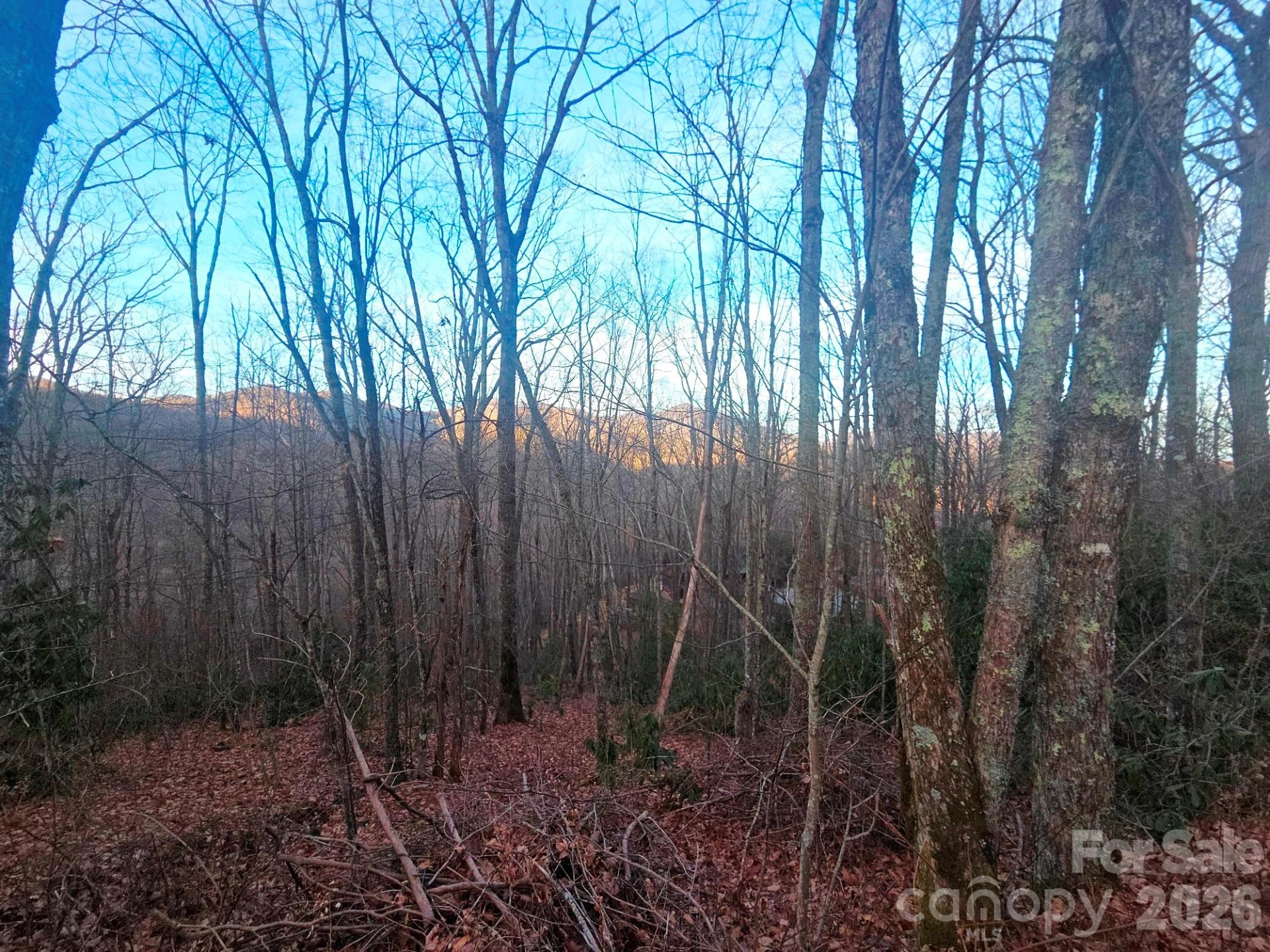 10 Tall Oaks Drive #58A & 58B - Photo 7