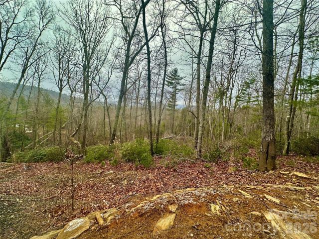 000 Orchard View Trail, Spruce Pine, NC, 28777