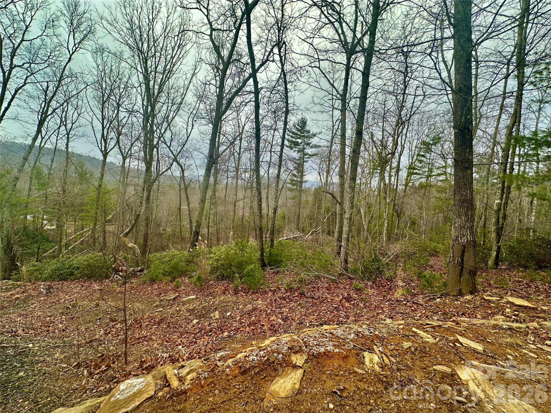 000 Orchard View Trail #11