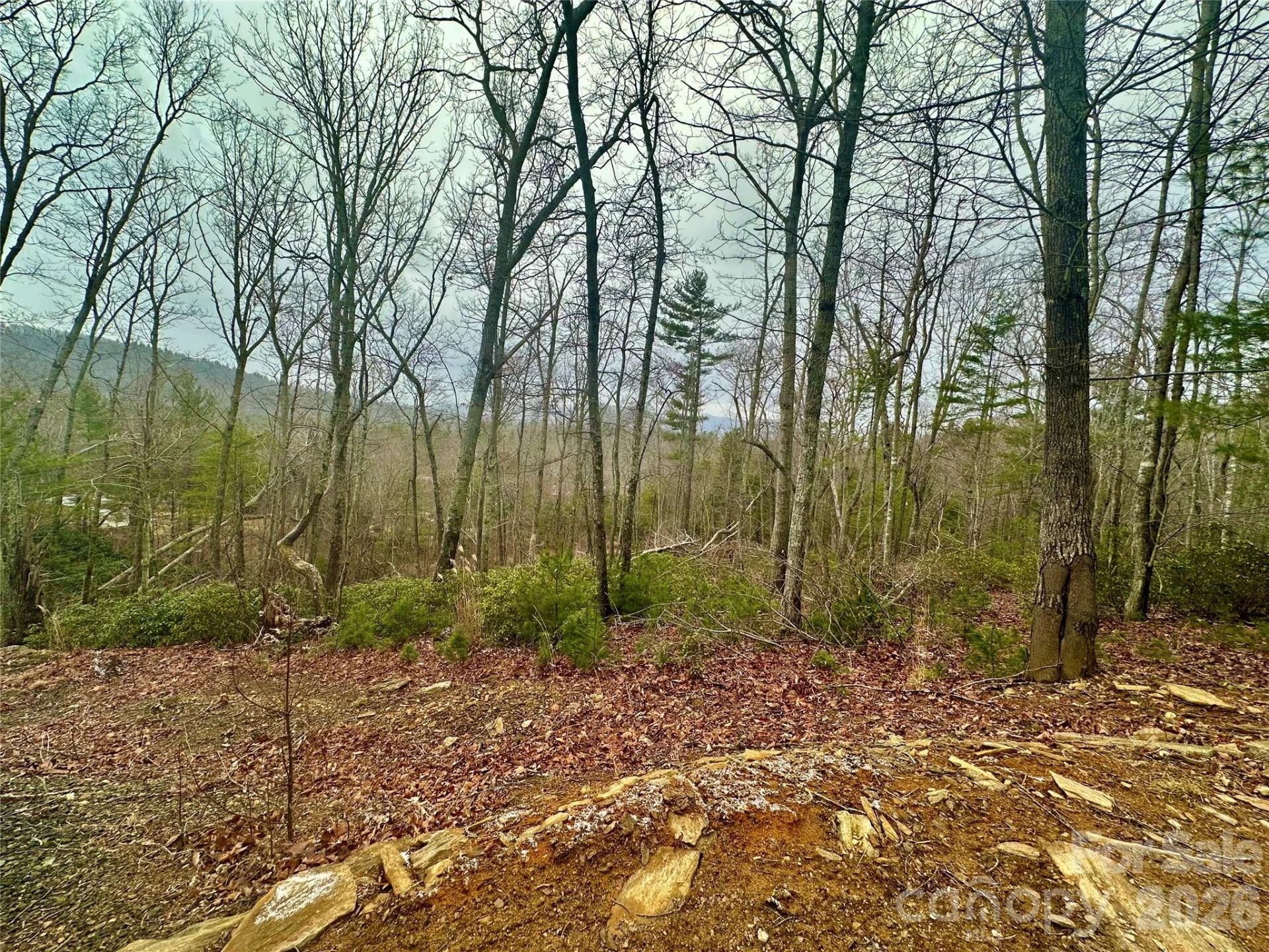 000 Orchard View Trail #11