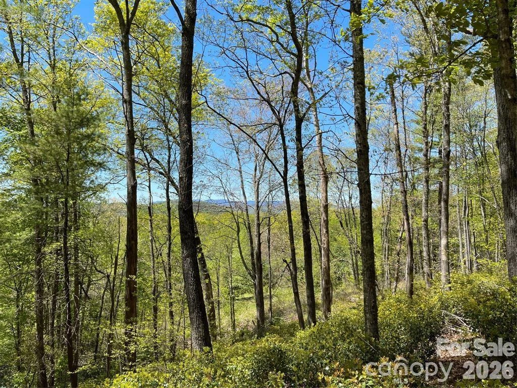 000 Orchard View Trail #11 - Photo 2