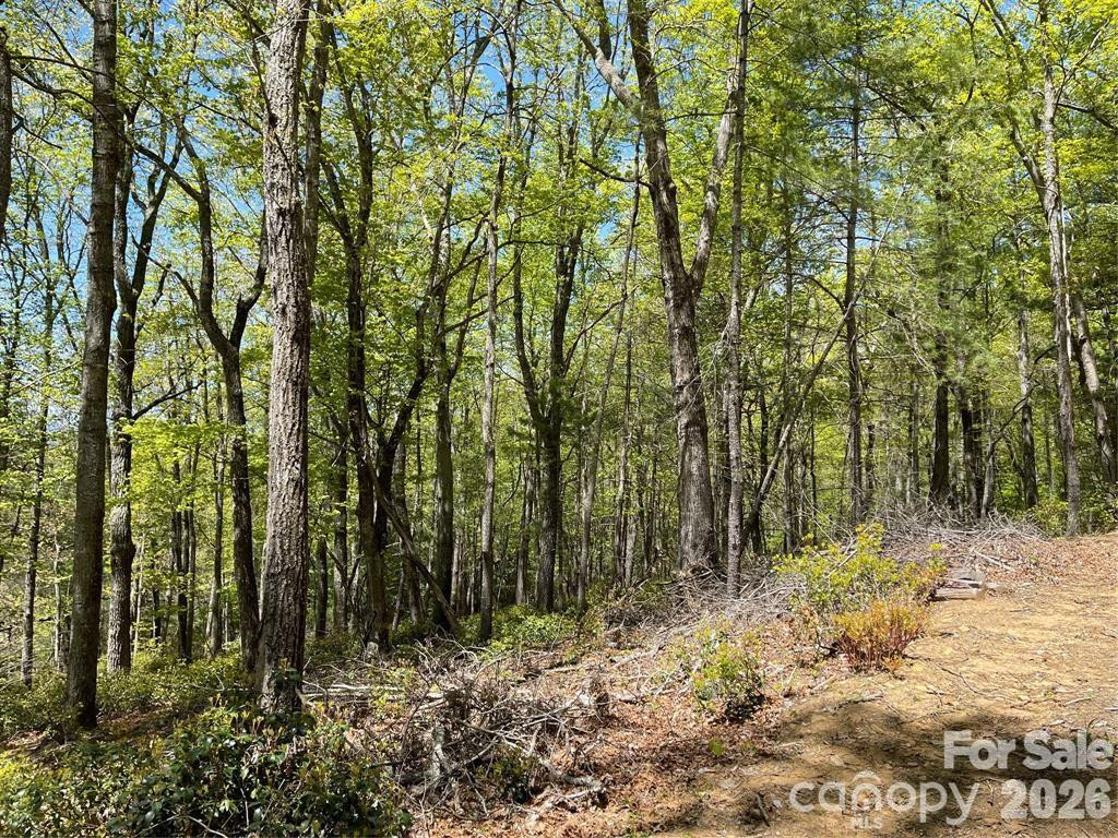 000 Orchard View Trail #11 - Photo 11