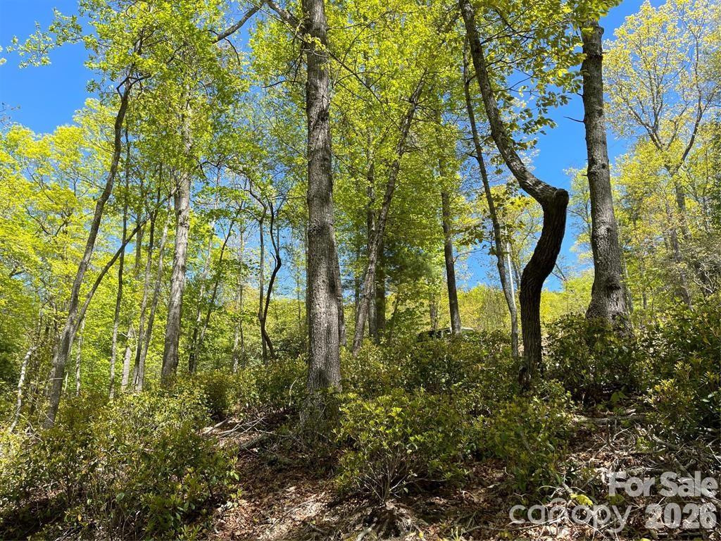 000 Orchard View Trail #11 - Photo 12