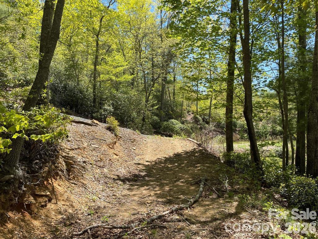 000 Orchard View Trail #11 - Photo 13