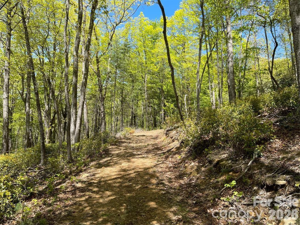 000 Orchard View Trail #11 - Photo 14