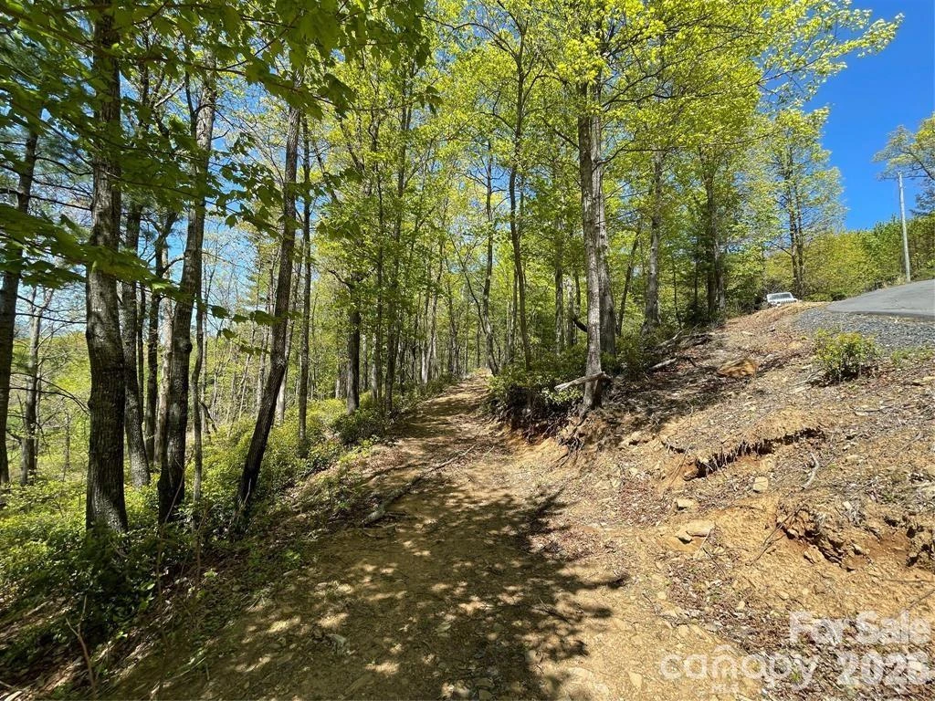 000 Orchard View Trail #11 - Photo 15