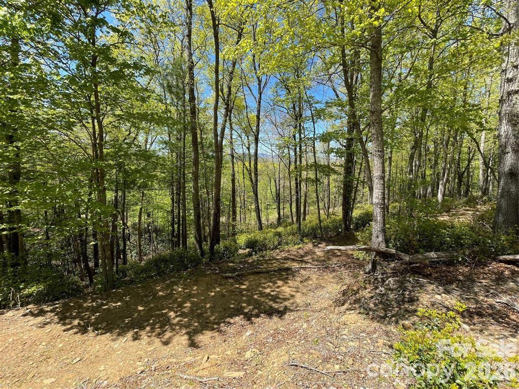 000 Orchard View Trail #11 - Photo 16