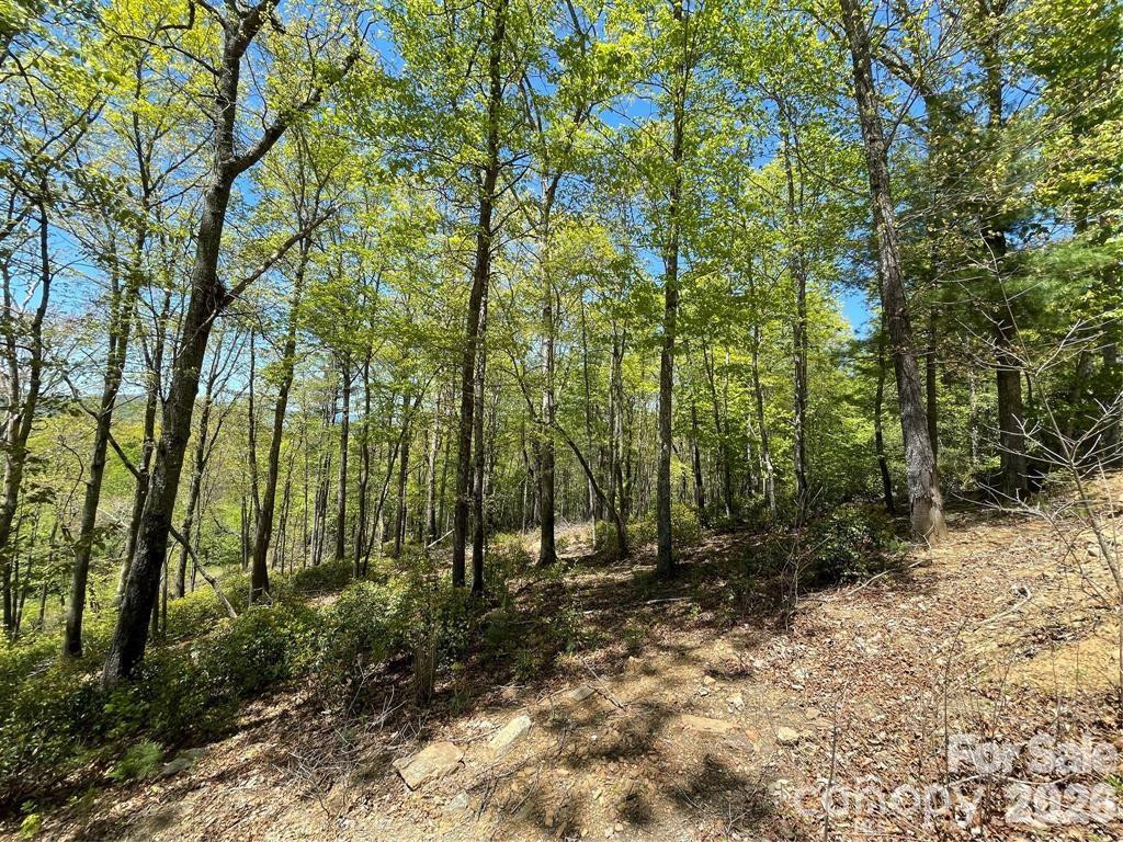 000 Orchard View Trail #11 - Photo 17