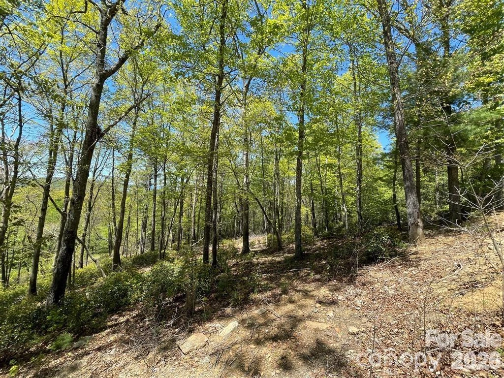 000 Orchard View Trail #11 - Photo 17