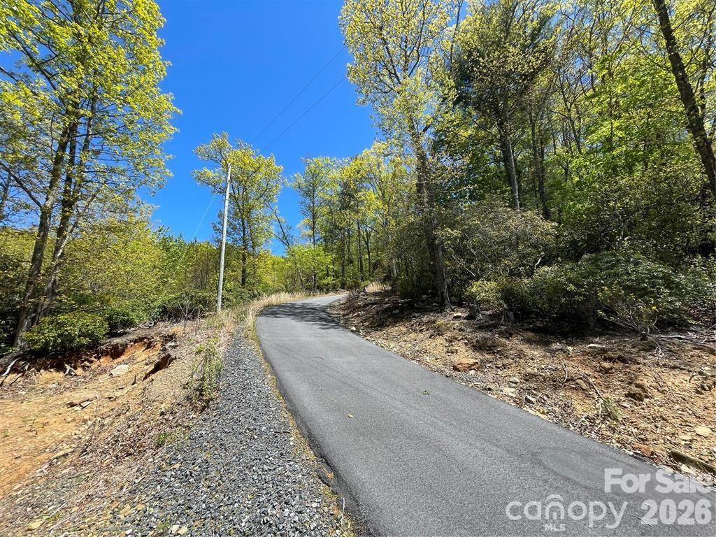 000 Orchard View Trail #11 - Photo 18