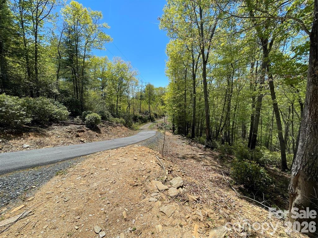 000 Orchard View Trail #11 - Photo 19