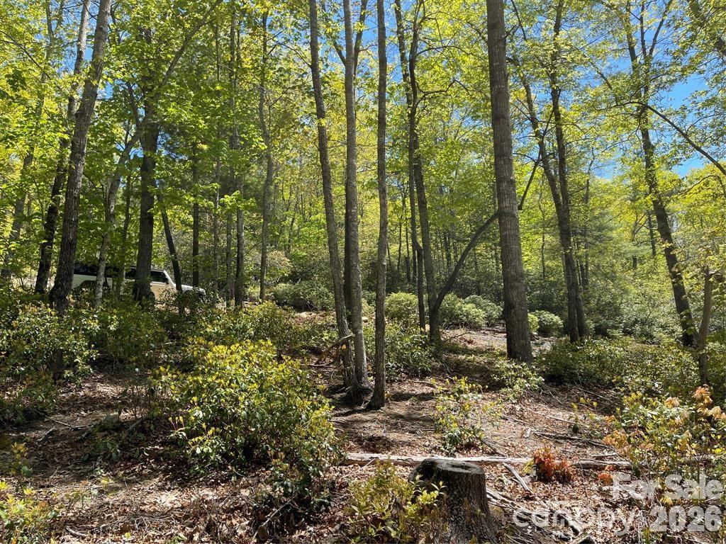 000 Orchard View Trail #11 - Photo 3