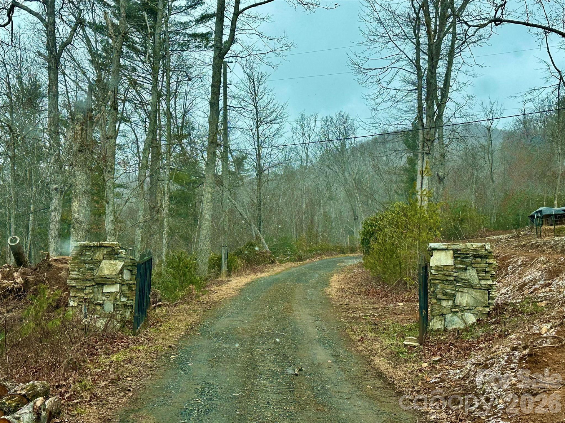 000 Orchard View Trail #11 - Photo 4