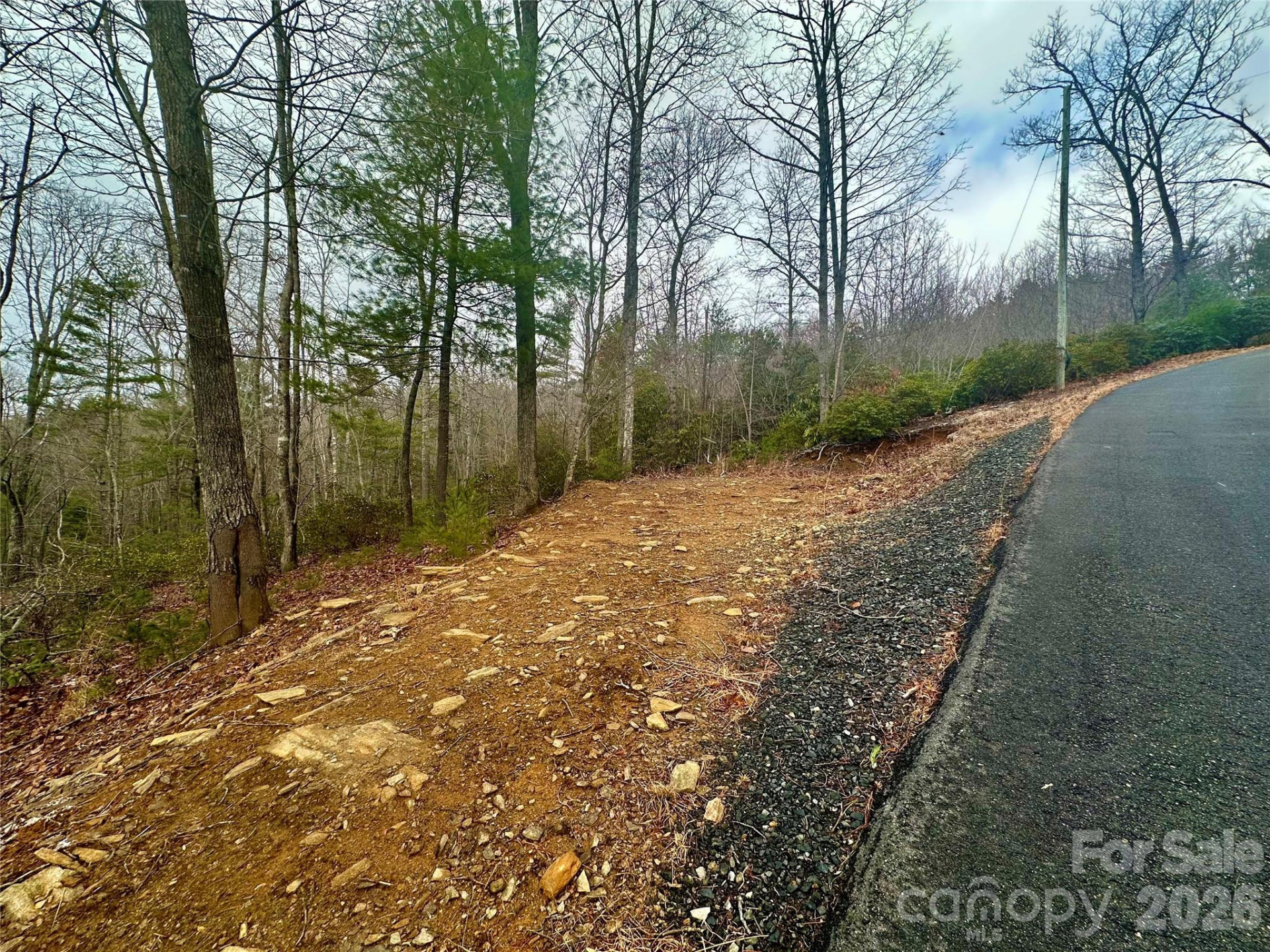 000 Orchard View Trail #11 - Photo 5