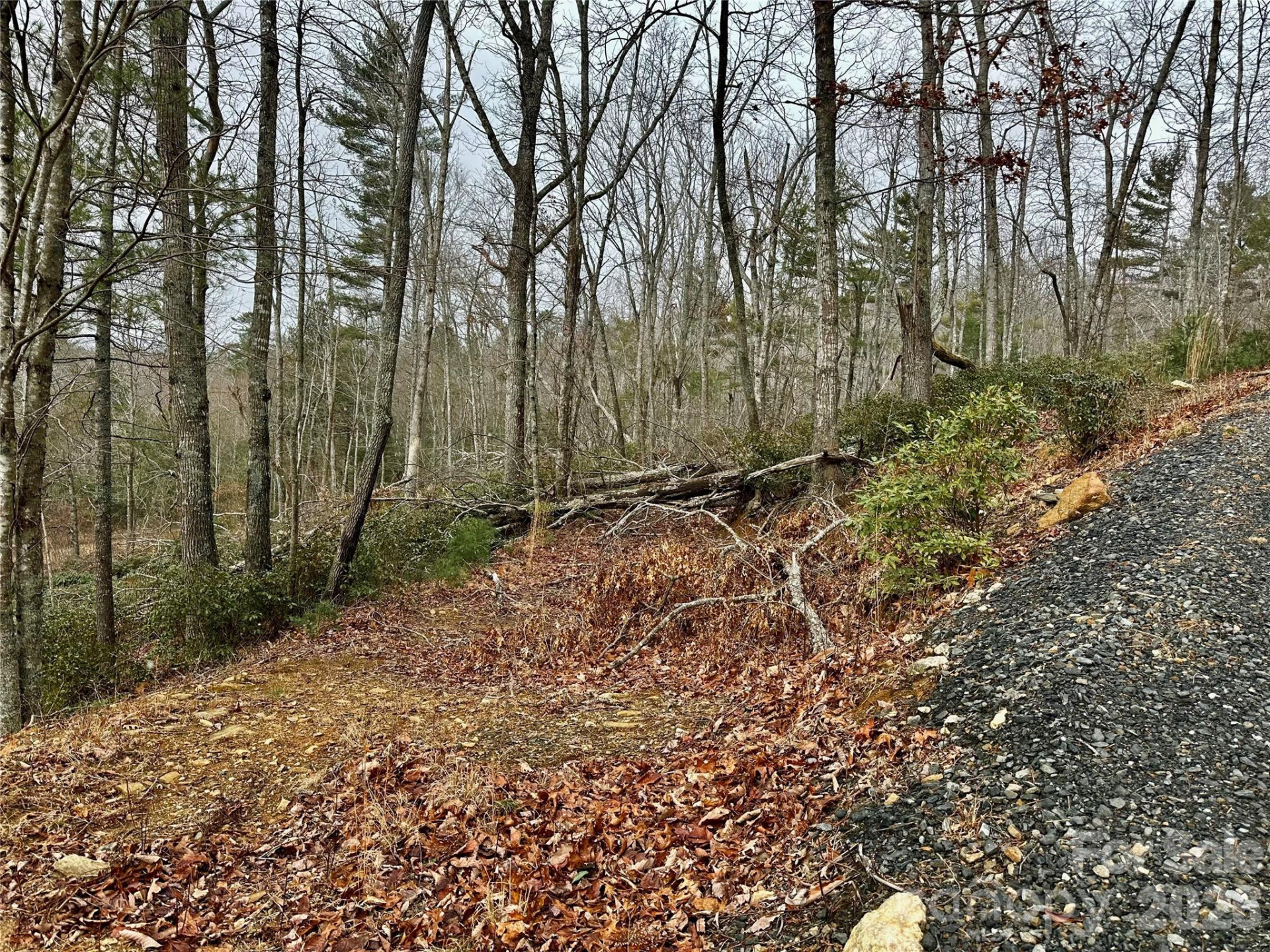 000 Orchard View Trail #11 - Photo 6