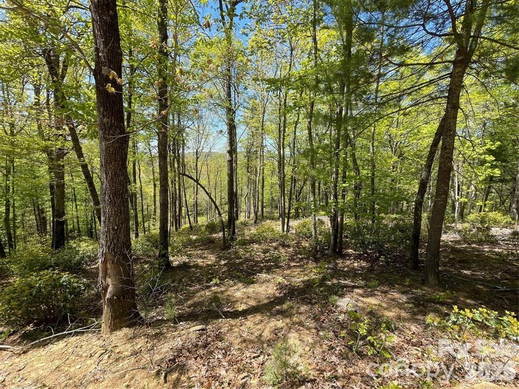 000 Orchard View Trail #11 - Photo 8