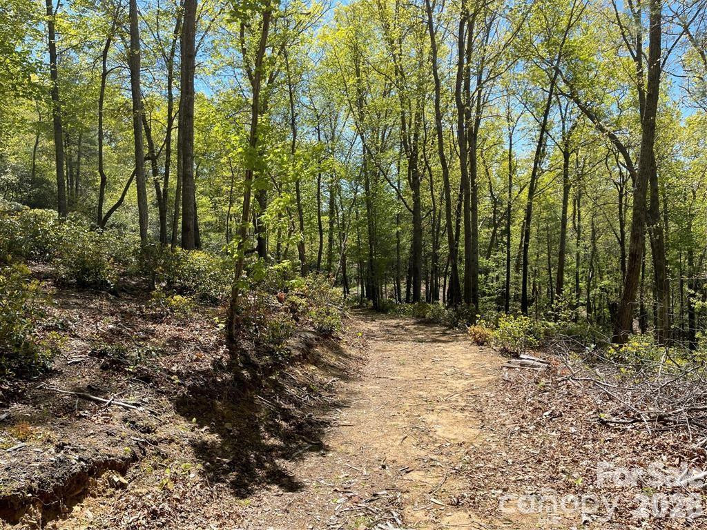 000 Orchard View Trail #11 - Photo 10