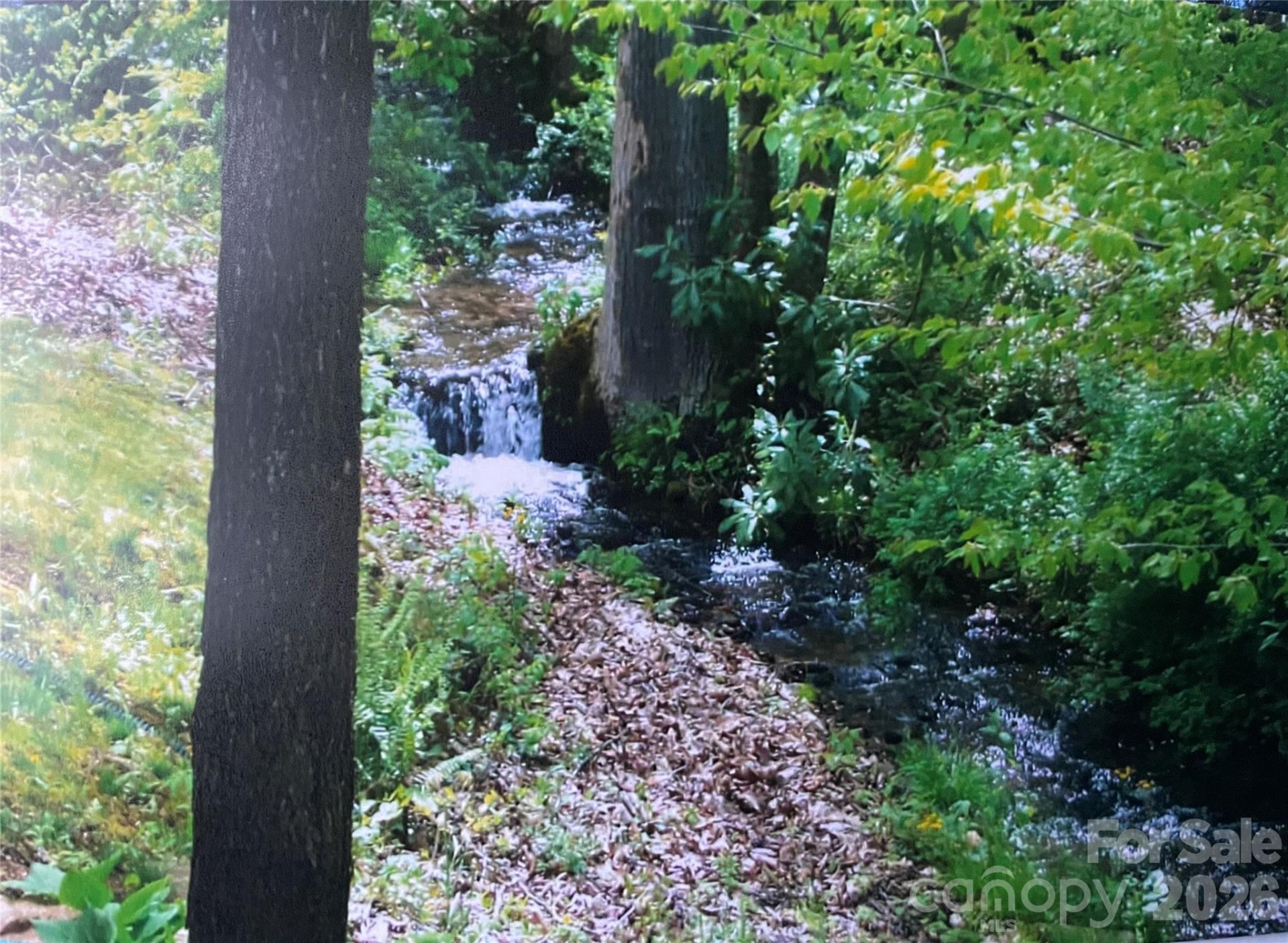 23 Mahan Lane - Photo 31